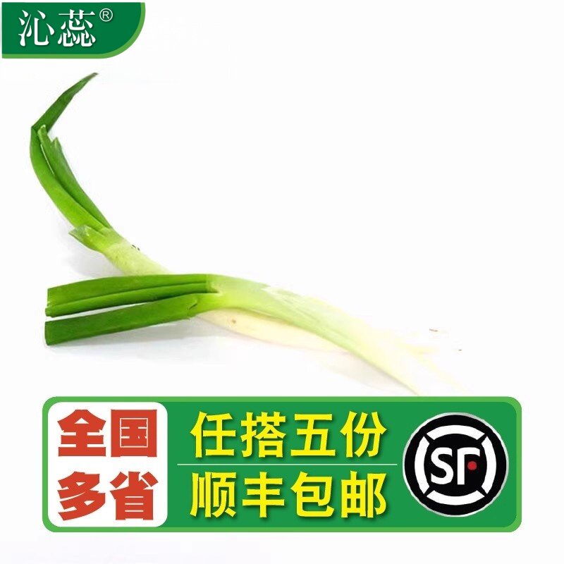 【沁蕊】新鲜蔬菜山东大葱