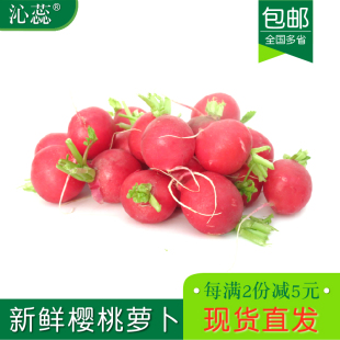 樱桃萝卜1斤起 新鲜蔬菜生吃小萝卜即食沙拉小圆萝卜清脆爽口 包邮