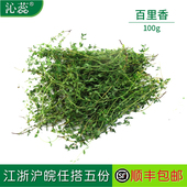 沁蕊 麝香草 新鲜百里香100g 香草 百里香叶 西餐香料调料