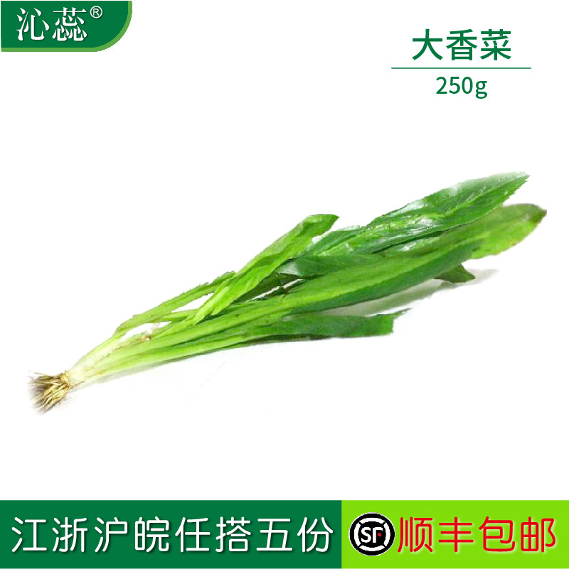 【沁蕊】泰国香菜 云南大香菜500g 刺芫茜泰香菜刺芹芫荽