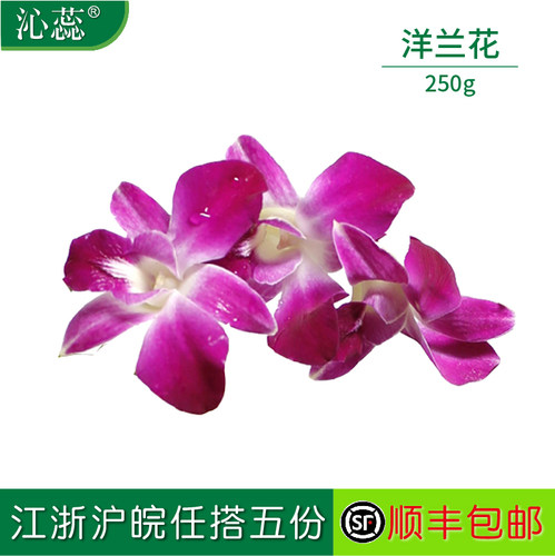 新鲜洋兰花沁蕊摆盘装饰