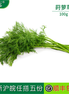 【沁蕊】新鲜莳萝草Dill刁草土茴香 莳罗250g