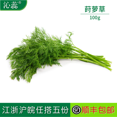 沁蕊新鲜莳萝草dill刁草茴香250g