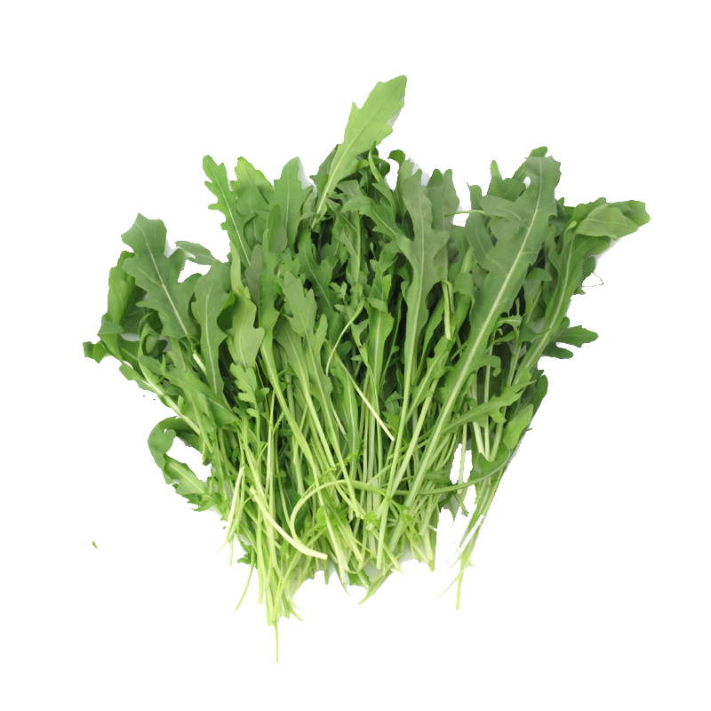 【沁蕊】芝麻菜新鲜德国火箭菜