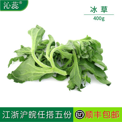 沙拉蔬菜新鲜冰草冰菜