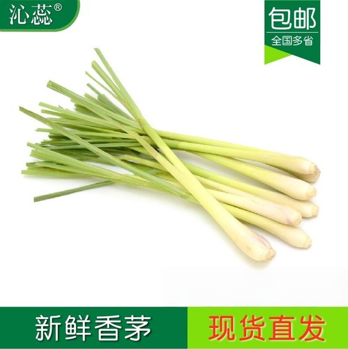 新鲜香茅草柠檬草香茅香料菜奶茶店泰国冬阴功汤料原料 弯折打包