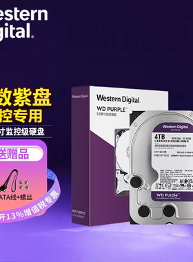 西部数据（WD）4TB WD43PURZ 监控级机械硬盘紫盘 SATA 256MB CMR