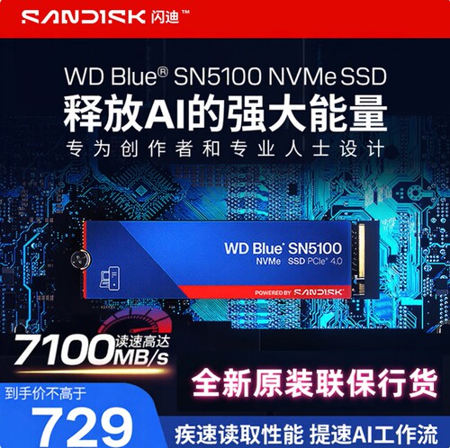 Sandisk/闪迪SN51001T