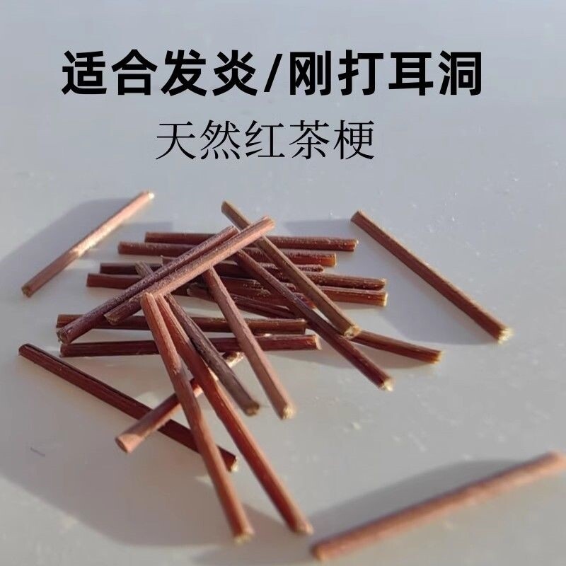 养耳洞耳钉茶叶梗耳棒温和洗澡睡觉免摘自然植物防堵针耳饰防过敏