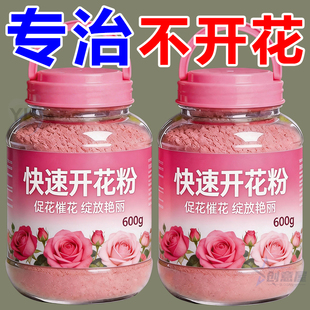 快速开花粉通用君子兰三角梅专用植物强力爆花粉植物肥料促进开花