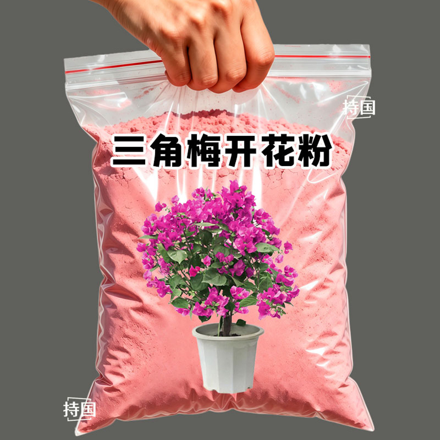 三角梅花芽壮根粉促芽剂精选肥料