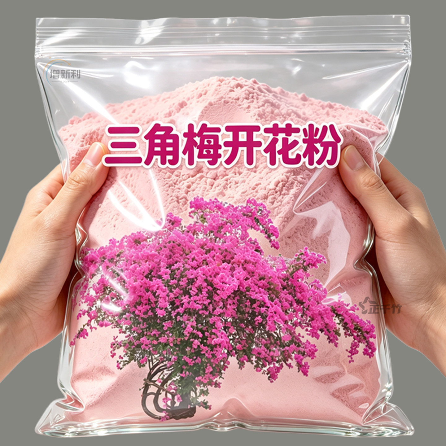 三角梅花促芽壮根粉潮流