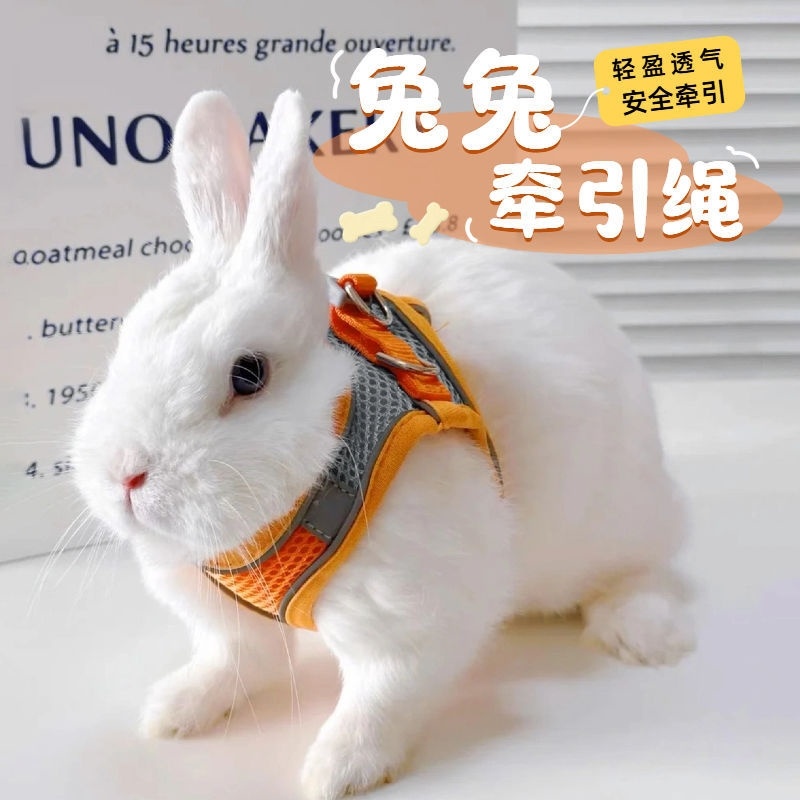 猫咪牵引绳防挣脱外出专用透气胸背牵引绳外出背心式溜猫反光神器