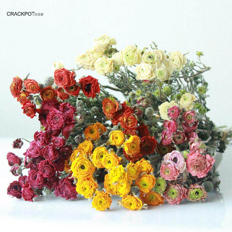 狂想者干花工厂ins北欧风森系mini洋牡丹干花家居装饰花束