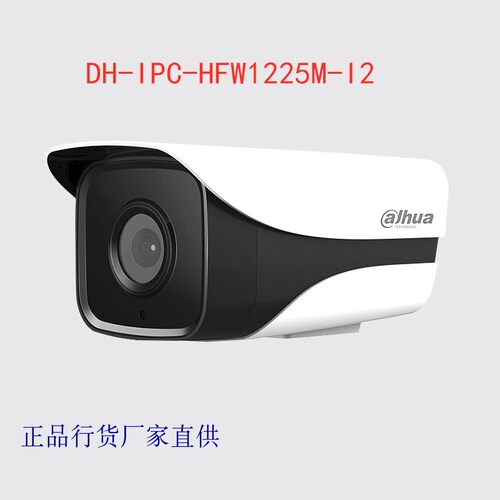 大华网络夜视摄像头