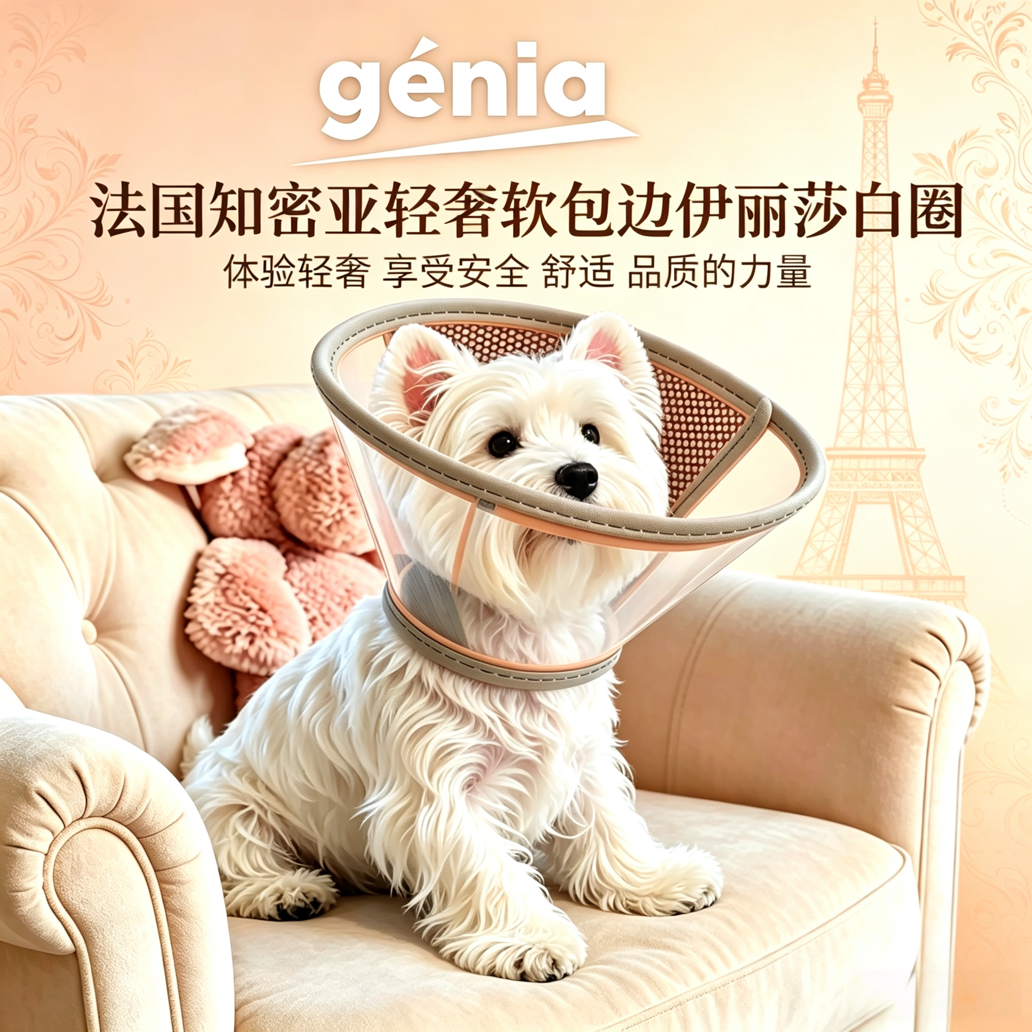 法国知密亚genia宠物猫狗舒适伊丽莎白圈轻盈猫绝育项圈防舔脖圈