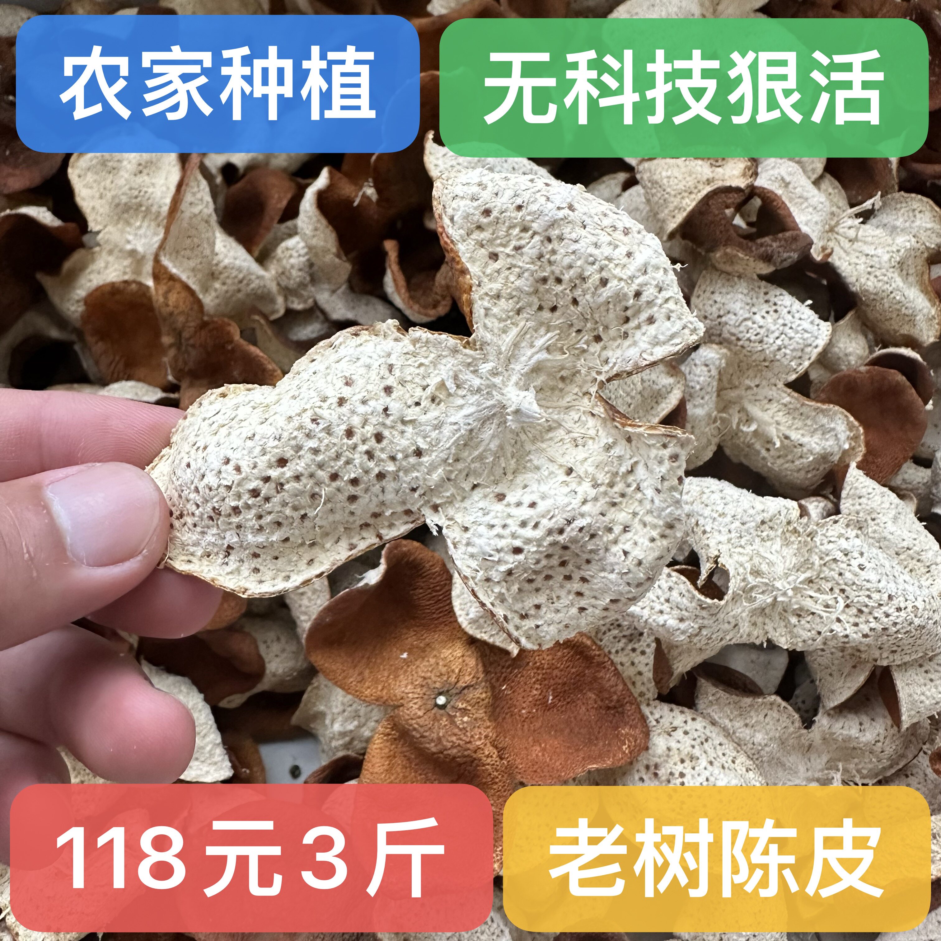 广西浦北特产老树陈皮二红皮 茶枝柑皮中大果干皮农家绿色农产品