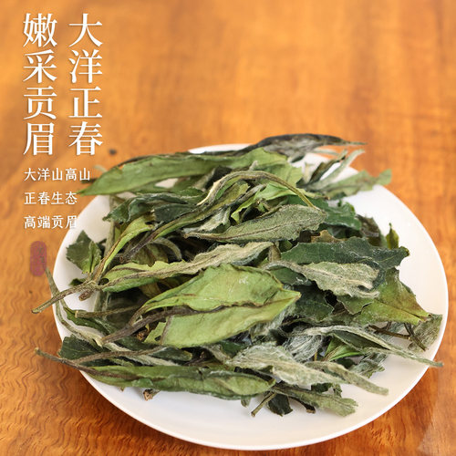 【收藏】大洋山春贡 2024正春细嫩高端寿眉花香毫香500g整箱