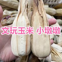 文玩玉米小墩墩盲盒毛料小墩墩整根手把件没有扒皮七彩玻璃宝石