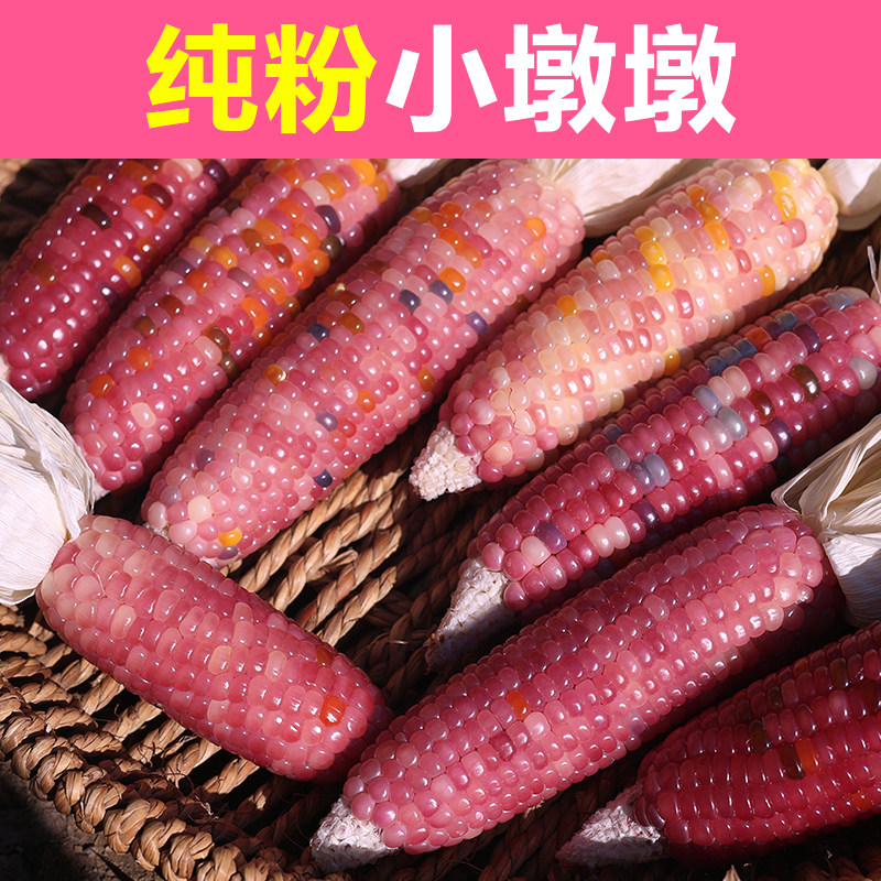 哥特粉纯粉宝石文玩玉米图片