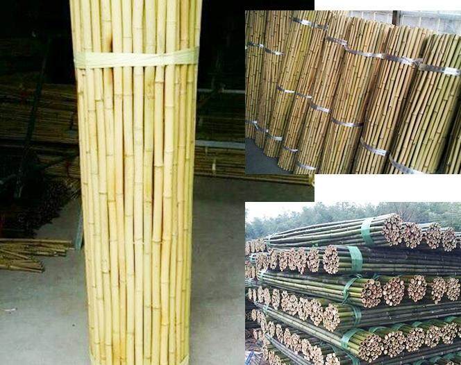 竹竿菜園防腐搭架黃瓜伸縮竹籬笆柵欄圍欄護欄戶外園林竹園藝用品在類目 鮮花速遞/花卉仿真/綠植園藝, 園藝用品, 大型籬笆/柵欄中 - 來自Buy2taobao.com提供專業的淘寶代購服務