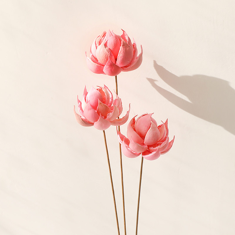 风荷手工宝莲灯拍摄道具diy干花图片