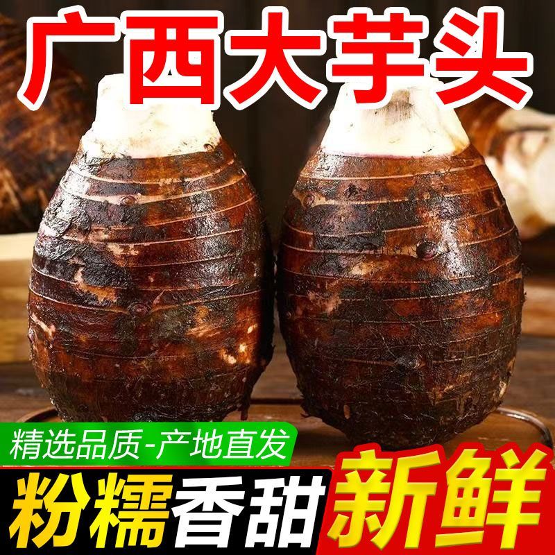 广西正宗荔浦新鲜芋头香现挖槟榔芋粉糯农家产地直发整箱生鲜蔬菜