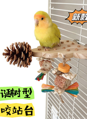 鹦鹉原木啃咬站台磨牙防抑郁