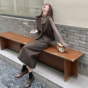 韩版高级感马夹半身裙套装女2025春秋季新款显瘦休闲打底衫三件套图片