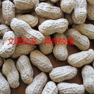 平潭晒干水煮白晒花生，农家自种，本地品种。