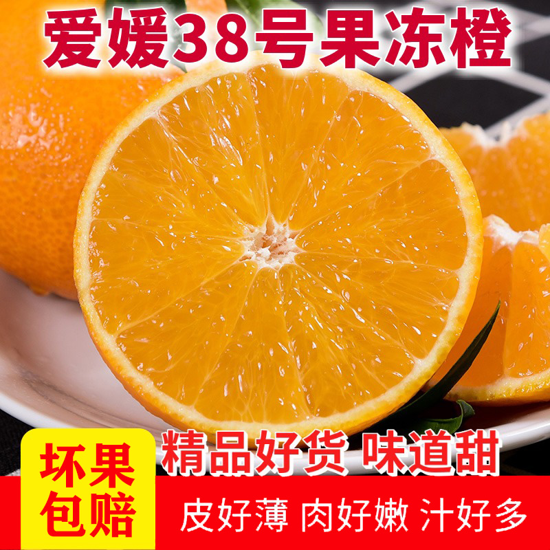 高山爱媛果冻橙香甜爆汁细嫩口感