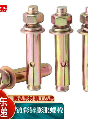 冰禹BYJZ-1260镀彩锌膨胀螺栓拉爆螺丝M12*100(20个)