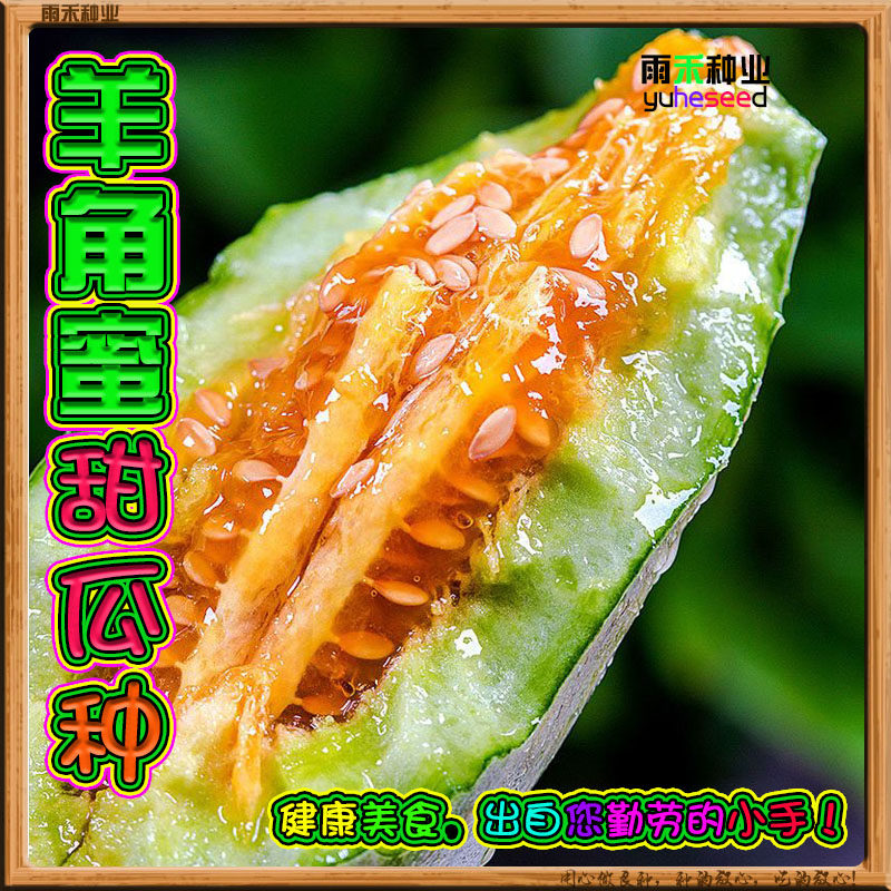 羊角蜜甜瓜种籽羊角酥种孑香瓜密蔬菜种子/种苗