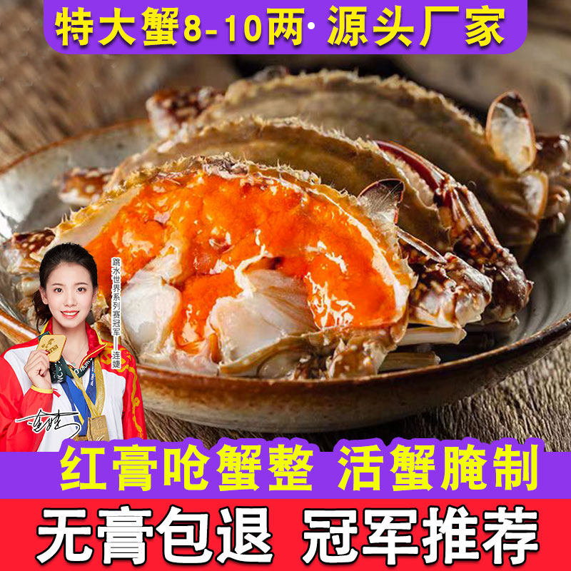 梭子蟹鲜活次日达红膏呛蟹整只酱母蟹宁波炝蟹梭子蟹咸蟹生腌螃蟹