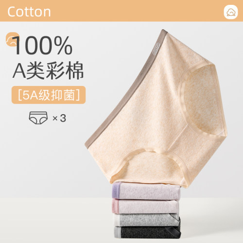 【3条装】婴儿亲肤棉内裤女纯棉