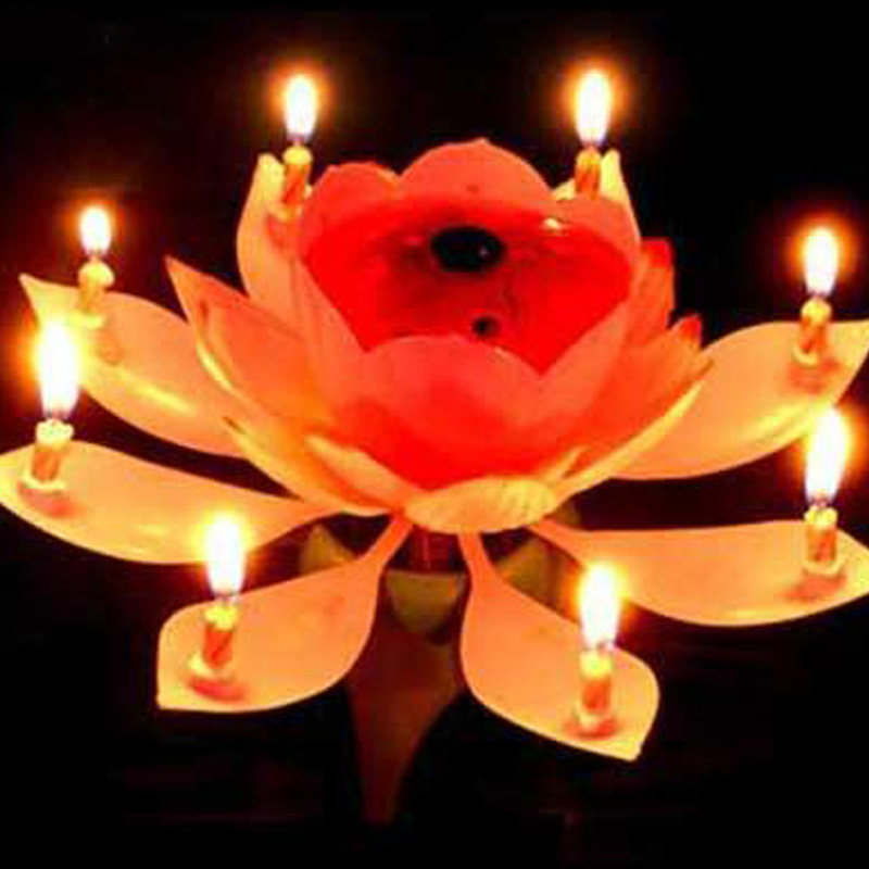 Bougie - Ref 2486099 Image 3