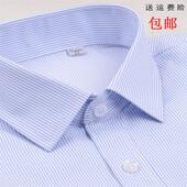 大码 女士白底蓝色条纹长袖 衬衣寸衣 方领修身 OL工装 衬衫 银行职业装