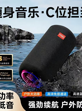 CLAISON/柯莱逊 蓝牙音响无线户K歌小型音箱大声量外防水便携家用