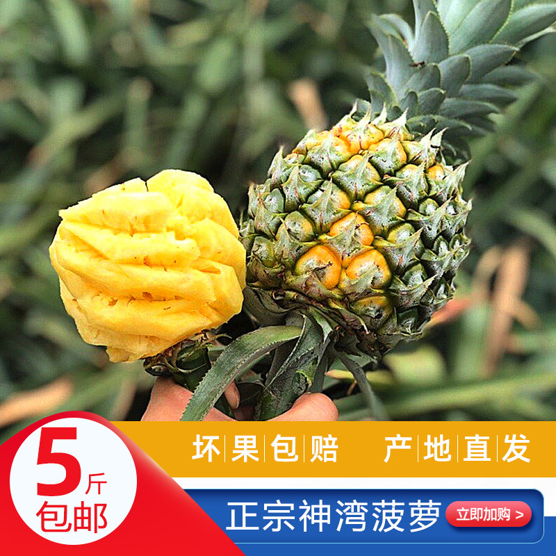 中山神湾菠萝新鲜水果包邮小菠萝香甜无渣小果凤梨免费送菠萝刀在类目 水产肉类/新鲜蔬果/熟食, 新鲜水果, 菠萝中 - 来自Buy2taobao.com提供专业的淘宝代购服务