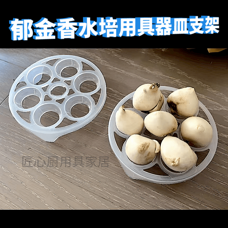 创意塑料PP郁金香水培用具器具支架六孔绿植物花瓶客厅桌面水养皿