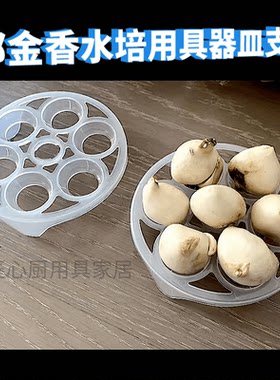 创意塑料PP郁金香水培用具器支架