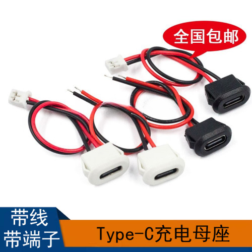Type-C 2P注胶直压式母座线带2.0端子台灯电动汽车椭圆充电口