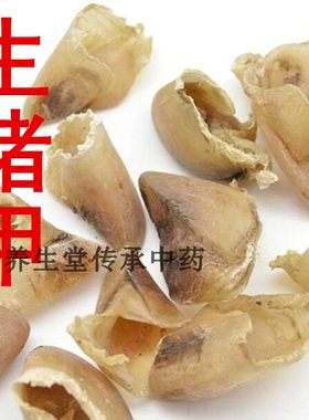 中药材猪蹄甲 别名猪悬蹄猪爪子生猪甲炙猪甲 另售各种中药材