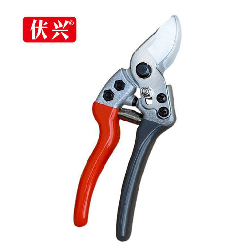 伏兴FX437园林剪园艺剪刀修枝剪果树剪整枝剪树枝剪华剪园林工具