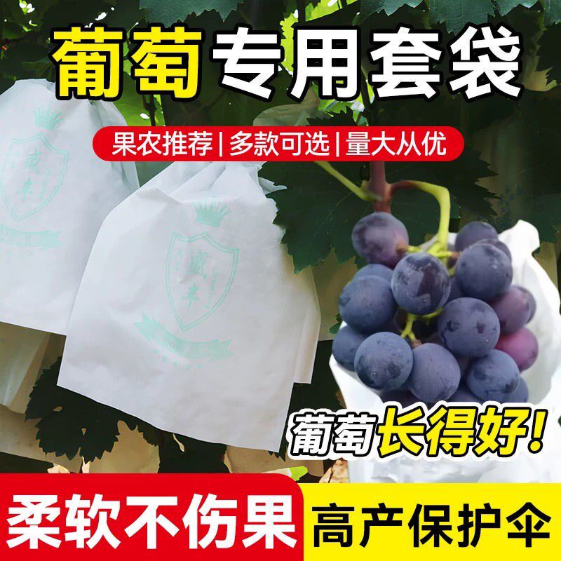 热销露天葡萄袋专用套袋葡萄防雨袋子育果袋枇杷莲雾水果防虫袋子