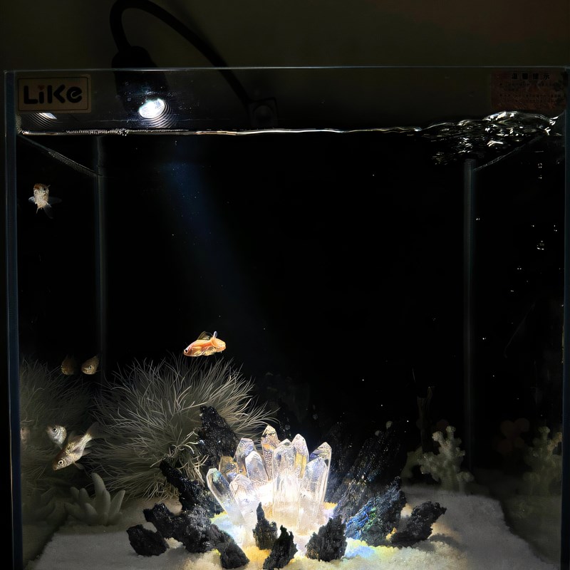 热销泰国斗鱼缸造景套餐免换水桌面玻璃缸小夜灯超白生态养鱼缸