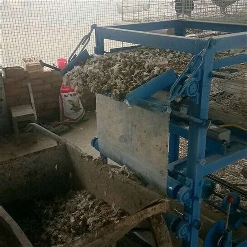 热销鸽用清粪机,鸽子清粪机半自动移动式的节省人工时间清粪效果
