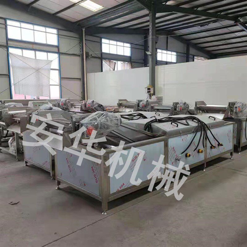 热销全自动绿豆芽清洗机 商用大型蔬菜加工厂用定制果蔬清洗漂烫