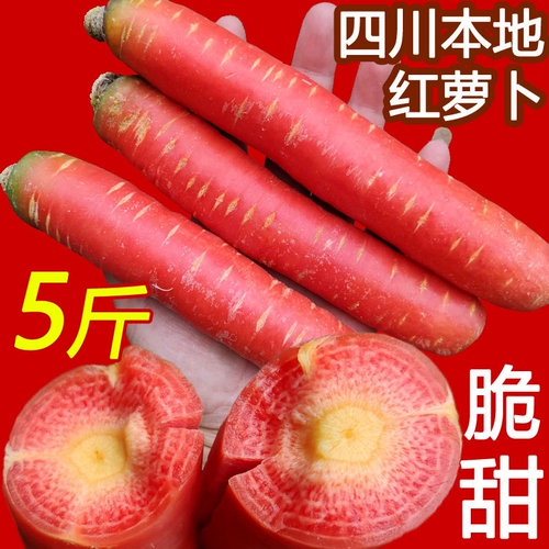 Sichuan Carrot Fresh Бесплатная доставка песчаная фруктовая морковь фермер овощное красное сердце хрустящее сладкое песчаное гнездо сладкая редька