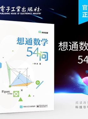 想通数学54问 想通数学54问 初中通用二进制数怎么转换方程函数图形教程书籍 青少年数学思维训练 数学计算奥数小学生之美课外